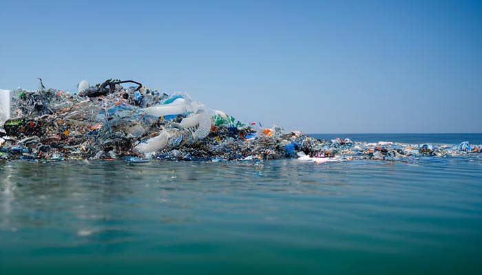 Conservação ambiental