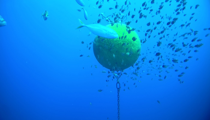 Monitoramento Oceanográfico e Ambiental