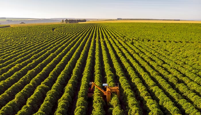 agricultura