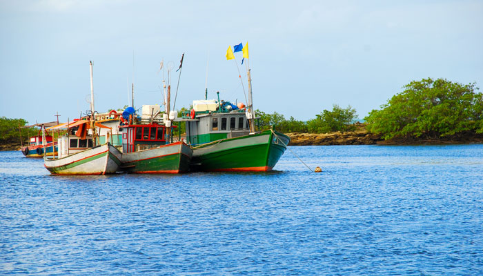 vários barcos de pesca