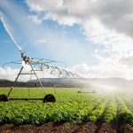 agriculture