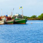 boats