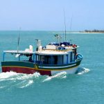Monitoramento da pesca
