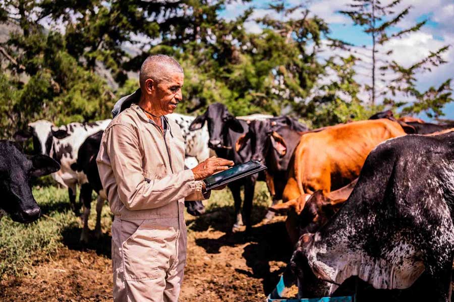 Como o software de gestão de rebanho está transformando a pecuária moderna